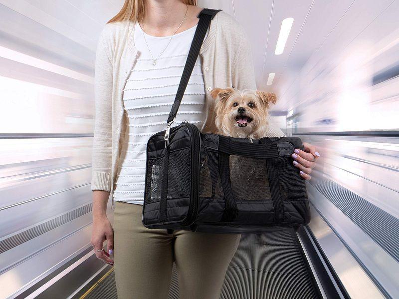 Carriers & Travel collectie