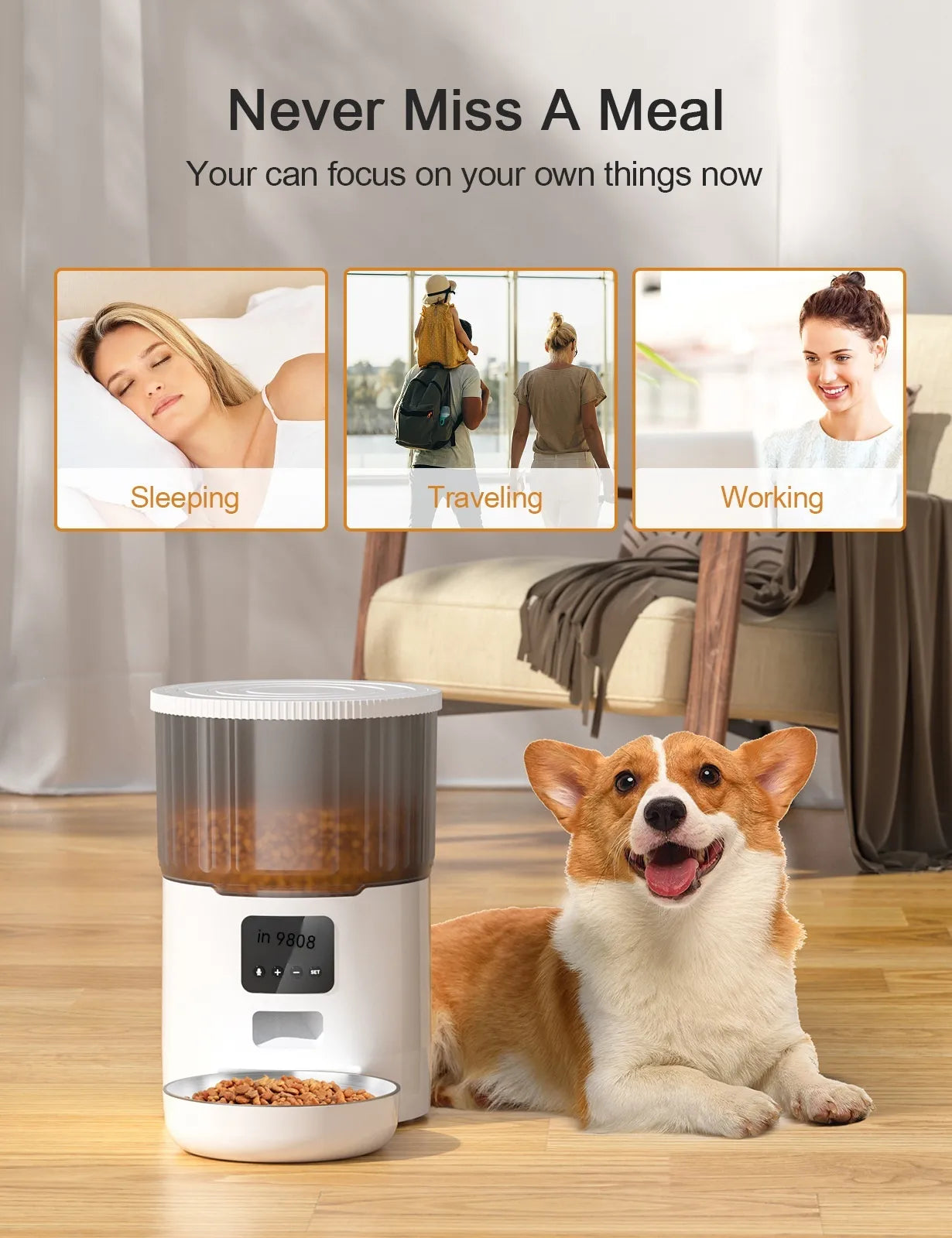 Automatische voerbak voor huisdieren van Cat Smart Dog