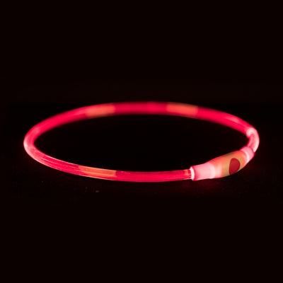 Trixie Leuchtkragen Usb Blitzlicht Wiederaufladbar Tpu Rot