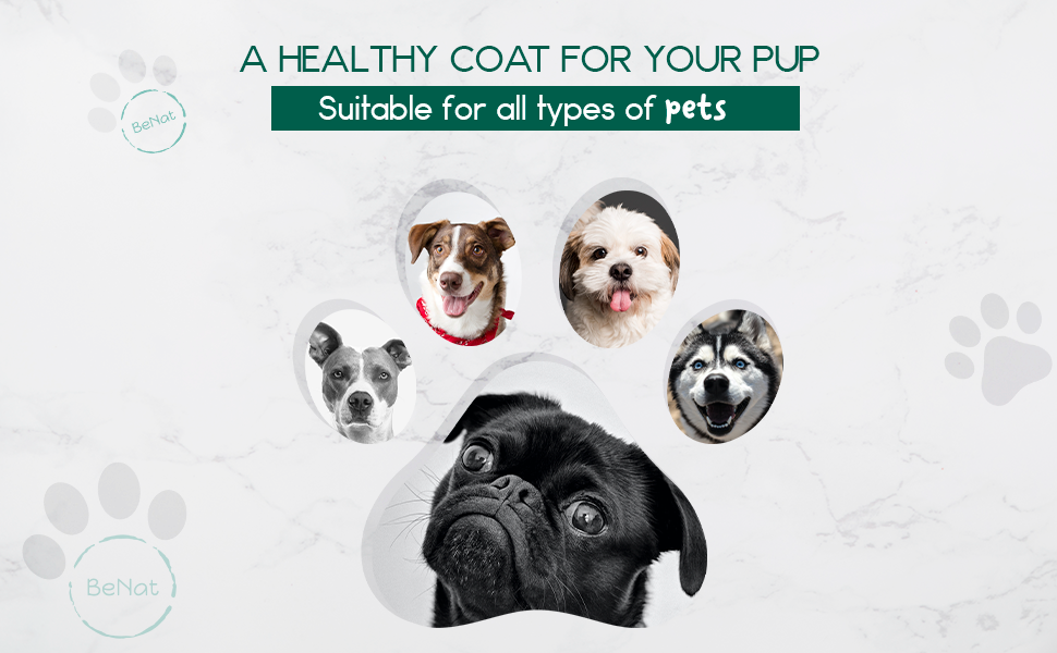 PurePaws All-Natural Oat Shampoo Bar
