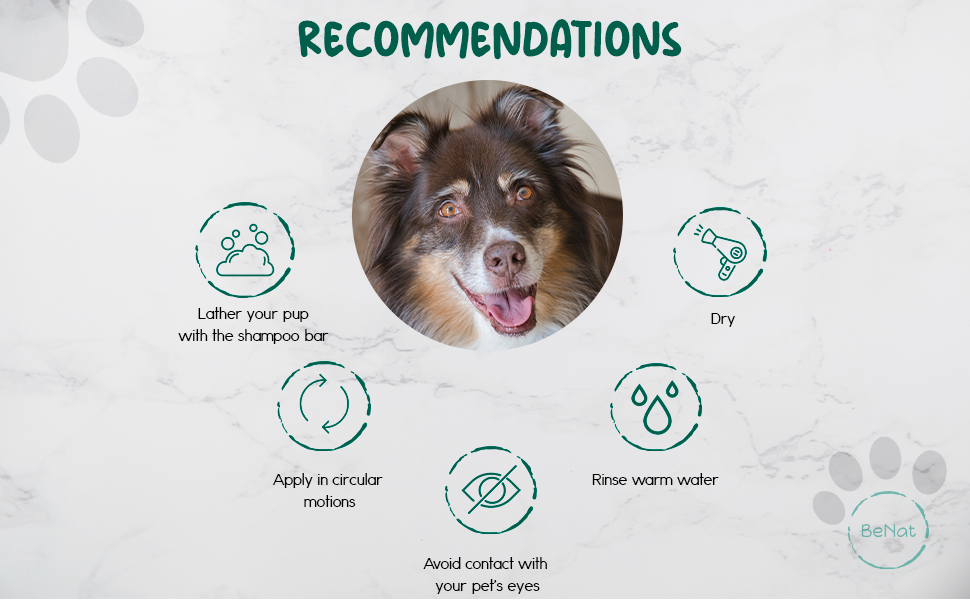 PurePaws All-Natural Oat Shampoo Bar